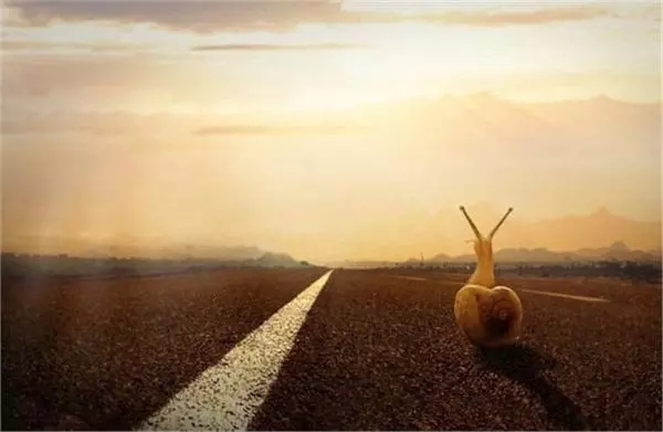 С���´����������