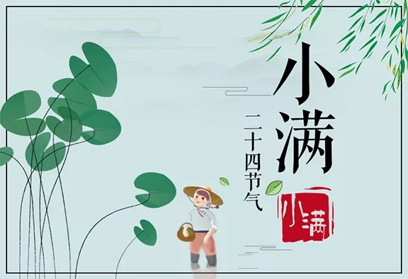 ��ʮ�Ľ���|С��