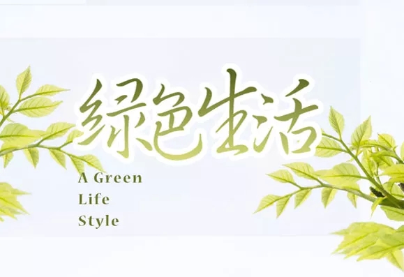 ������|װ��ΪʲôҪѡ��������