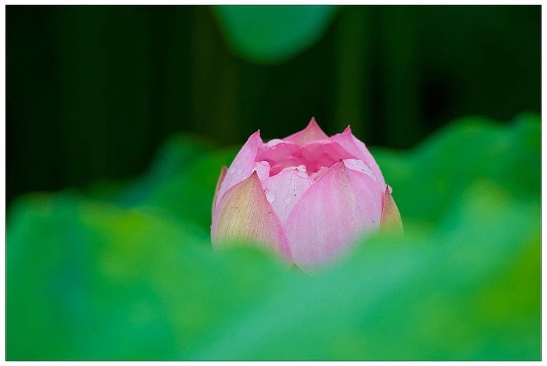 ������|2018��7������Ϳ����ѵ���ʻع�