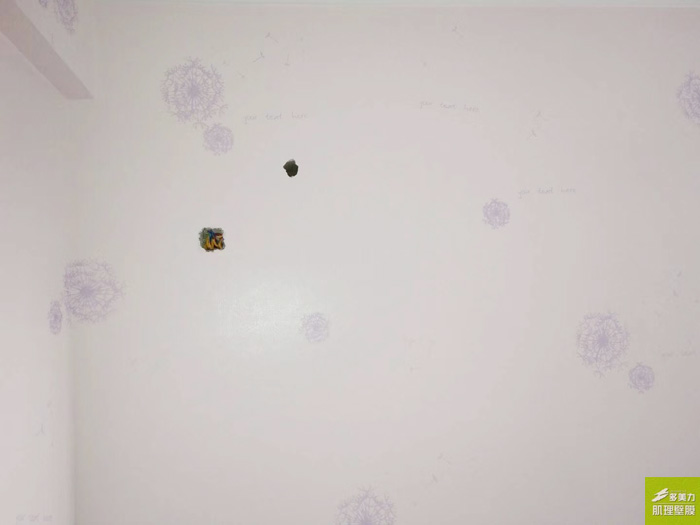 ������Ĥʩ������