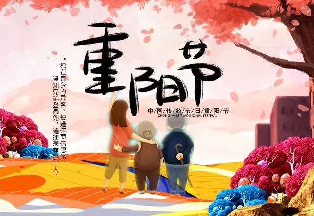 ������|�ž������ڣ�ŨŨ������!