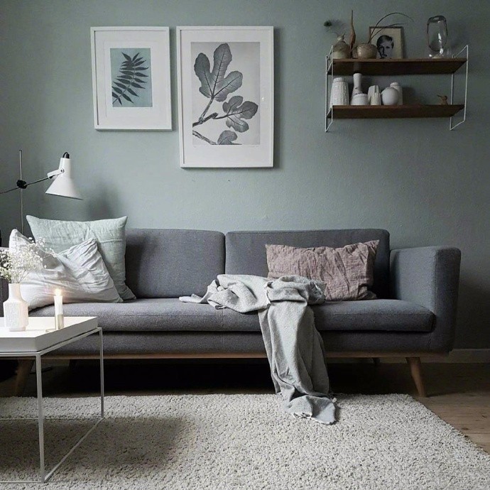 ������ | ��תɫ��